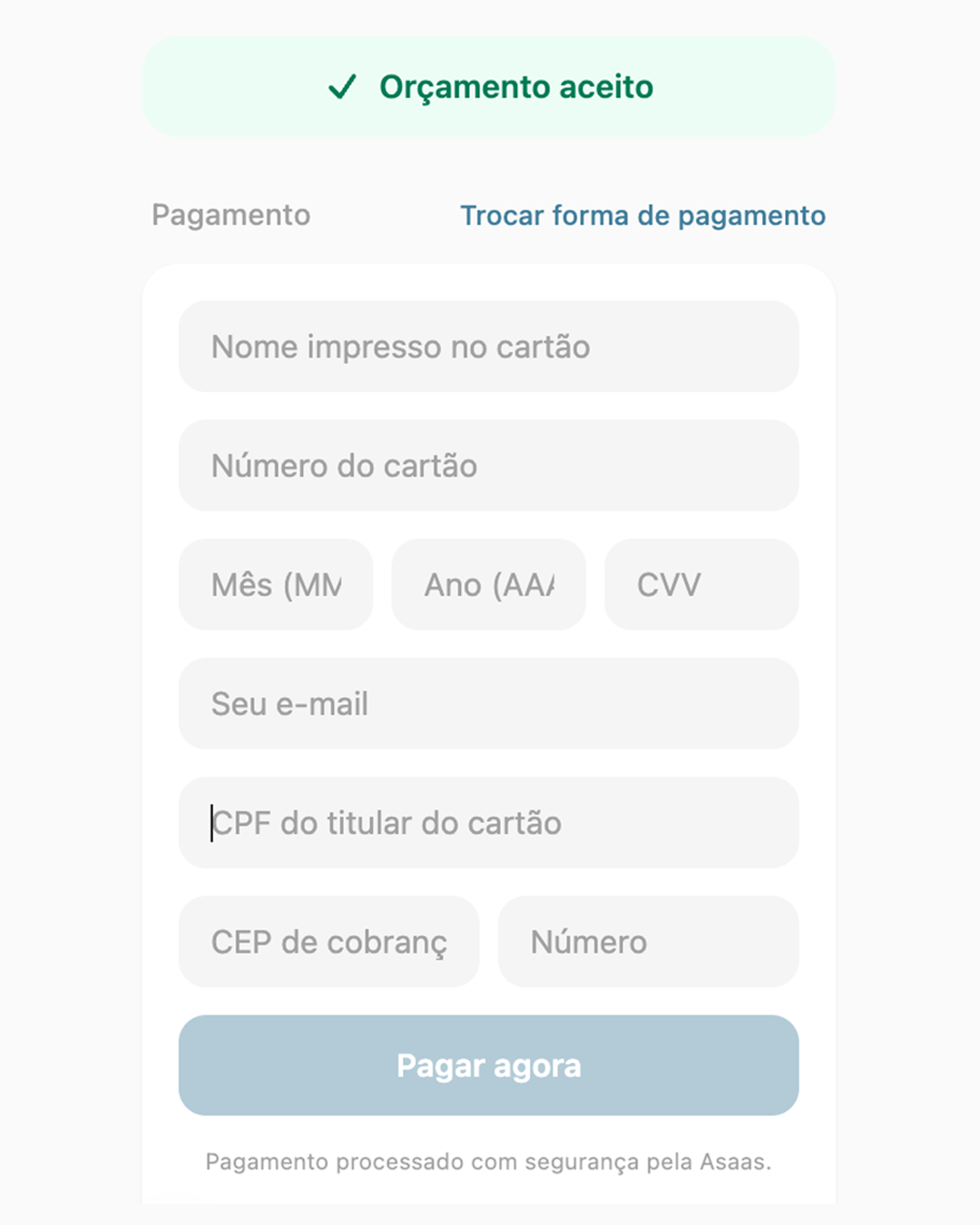 Tela de pagamento com as opções